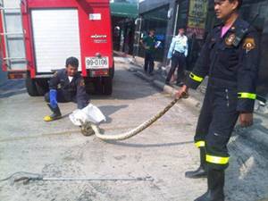 Python in Bangkok
