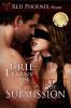 Brie-Learns-Art-Submission Cover Tiny