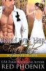 BrieLivesFairyTale-RedPhoenix Cover Tiny