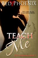 Substance B Cover of Teach Me (Brie’s Submission #1)