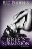 RedPhoenix-BriesSubmission1to3Box Cover Tiny