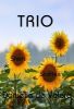 Trio-DanielleDeValera Cover Tiny