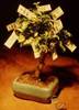 Money Tree